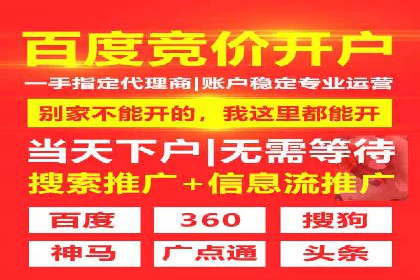 百度推广的投放策略与效果分析